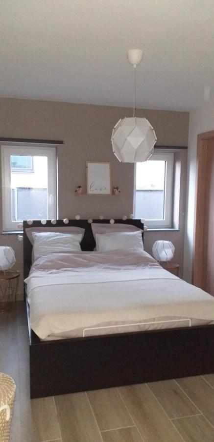 Chez Chantal - Appartement Privatif Yvoir Екстер'єр фото
